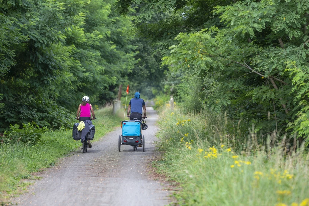 Dwoje turystów wjechało rowerami na pas drogi granicznej. Straż Graniczna wlepiła im po 500 zł mandatu (zdj. ilustracyjne)