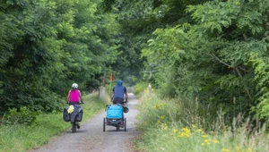 Dwoje turystów wjechało rowerami na pas drogi granicznej. Straż Graniczna wlepiła im po 500 zł mandatu (zdj. ilustracyjne)