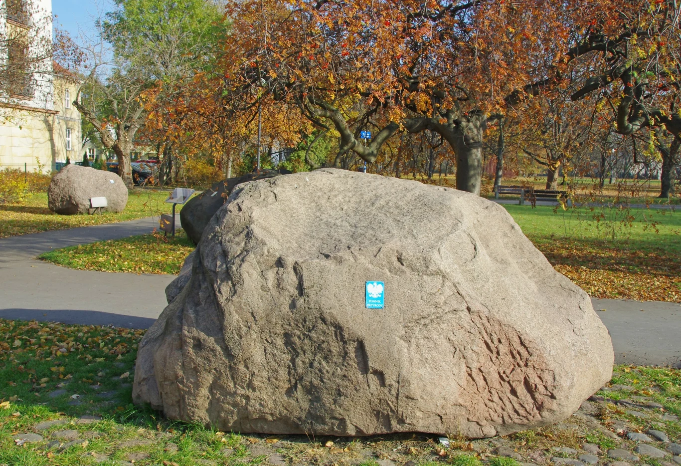 Głaz narzutowy - warszawski pomnik przyrody
