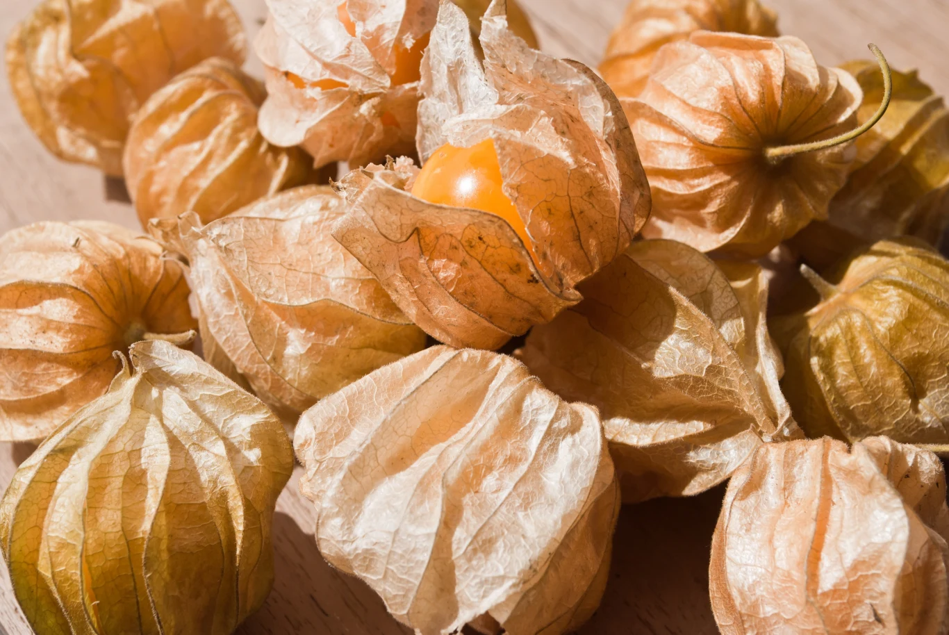 Miechunka ma swoje zastosowanie również w kuchni