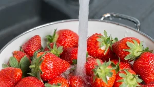 Myjesz truskawki w ten sposób? Przeczytaj, a więcej tego nie zrobisz 