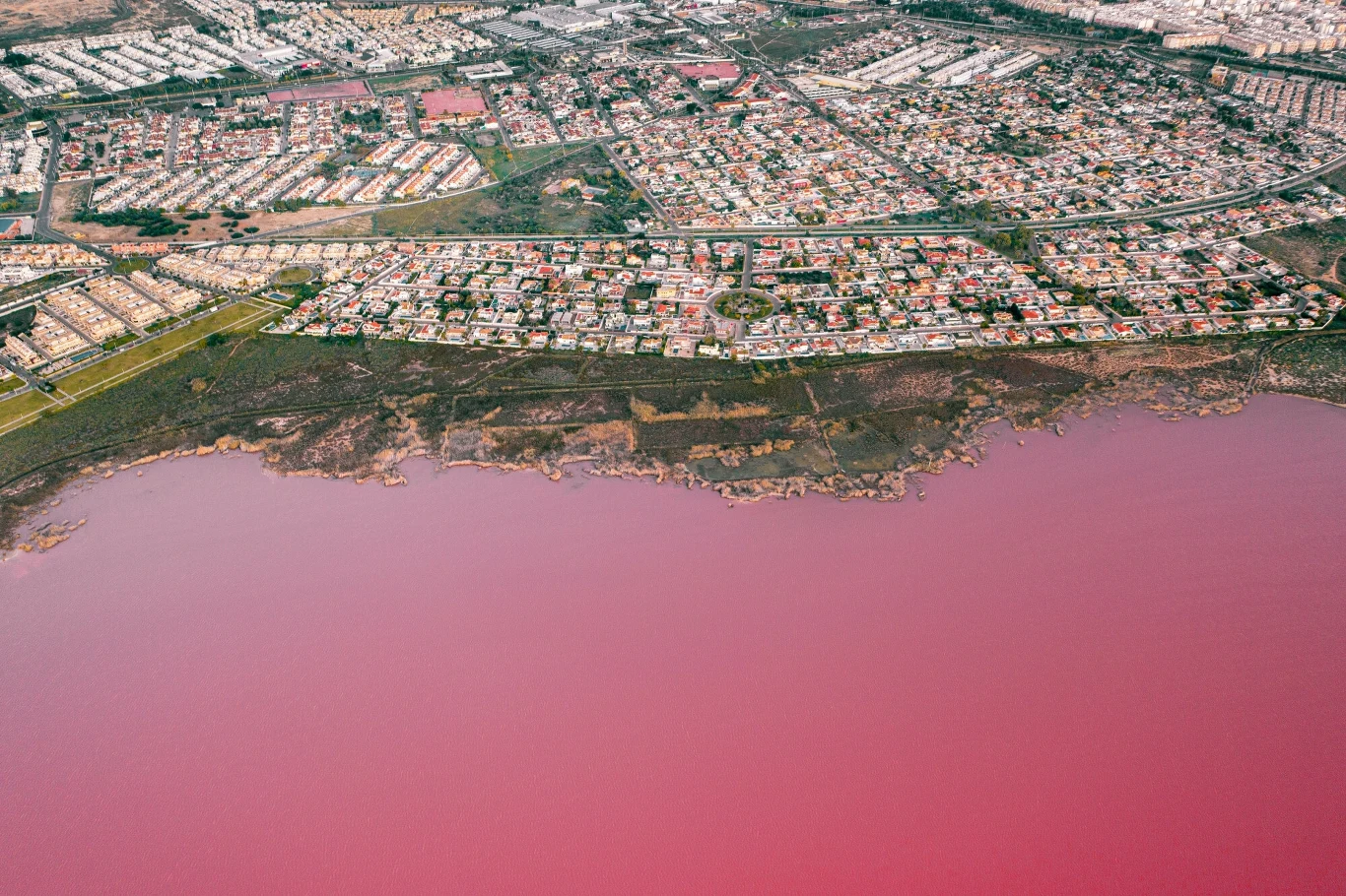 Torrevieja