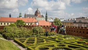 Wyjątkowa atrakcja na Wawelu otwarta. Dojście tajemniczym przejściem