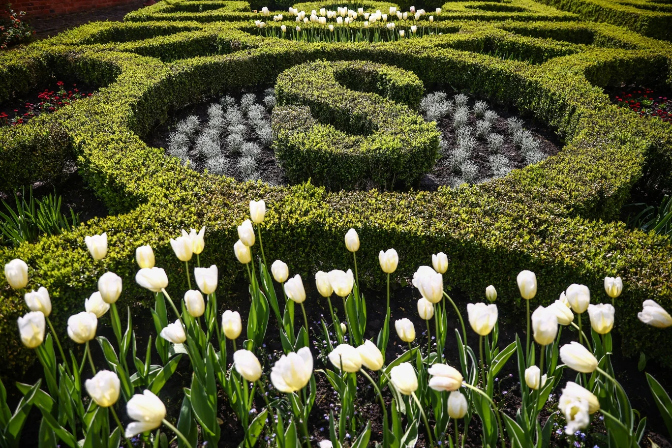 Ogrody Królewskie na Wawelu 25 kwietnia 2024 roku Ogrody Królewskie na Wawelu 25 kwietnia 2024 roku