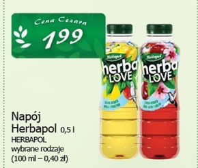 Herbapol HerbaLove Napój owocowo-herbaciany czarna herbata kwiat wiśni i skrzyp 500 ml niska cena