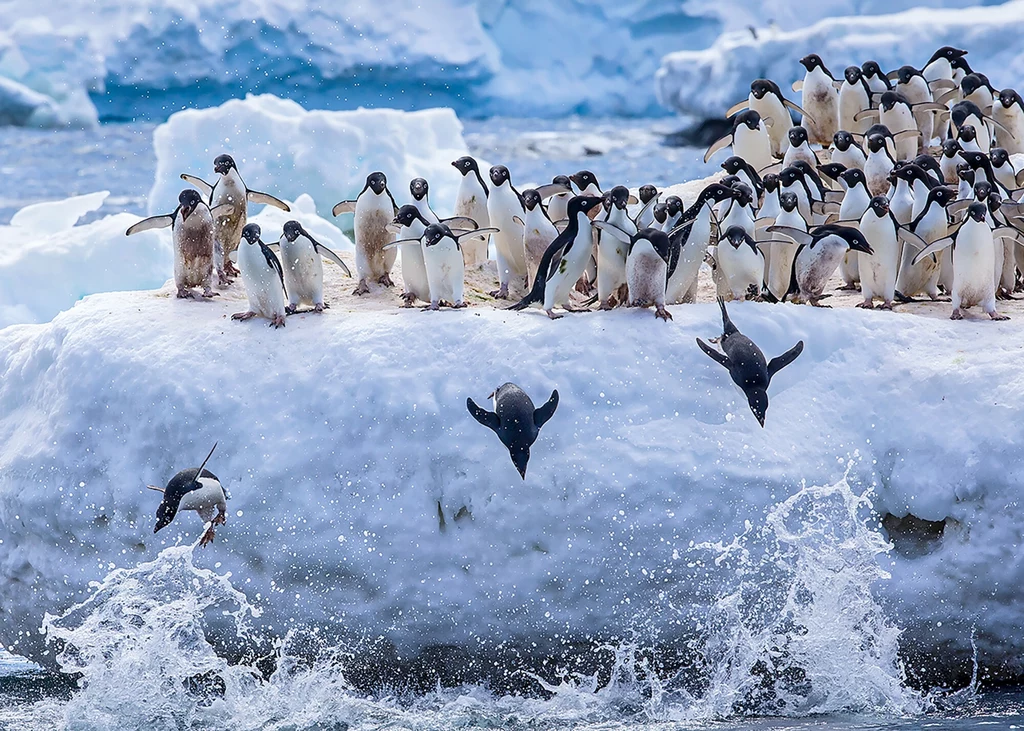 Badacze mówią jasno: coś złego dzieje się z Antarktydą. Takich problemów nie obserwowano jeszcze nigdy