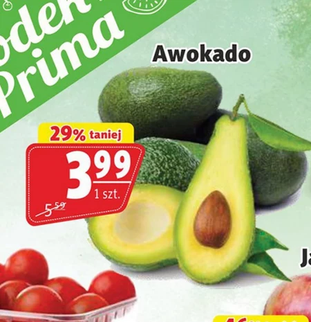 Авокадо Prima