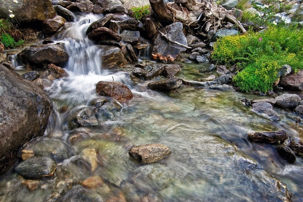 Górskie strumienie kojarzą nam się z krystalicznie czystą wodą.