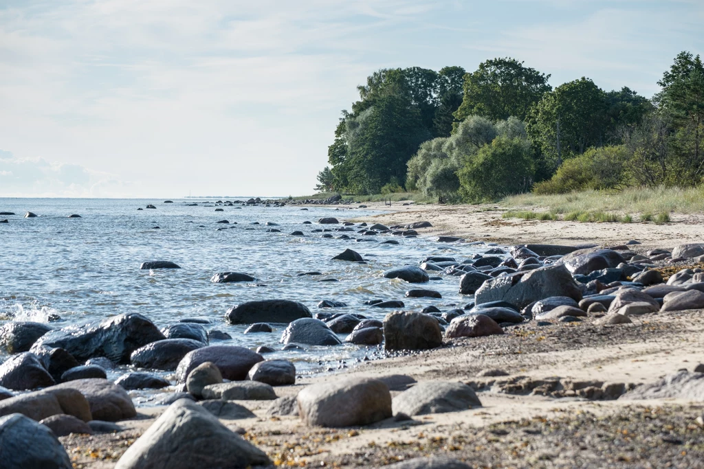 Morze Bałtyckie jest płytkie, zamknięte i podatne na zanieczyszczenia