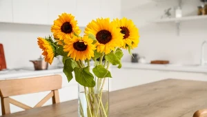 Słoneczniki nie zwiędną przez wiele tygodni. Wystarczy, że przed włożeniem do wazonu zrobisz to