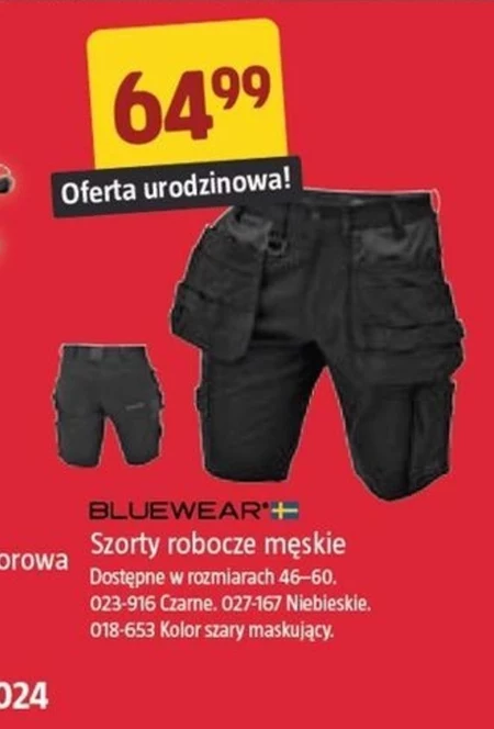 Szorty robocze Bluewear