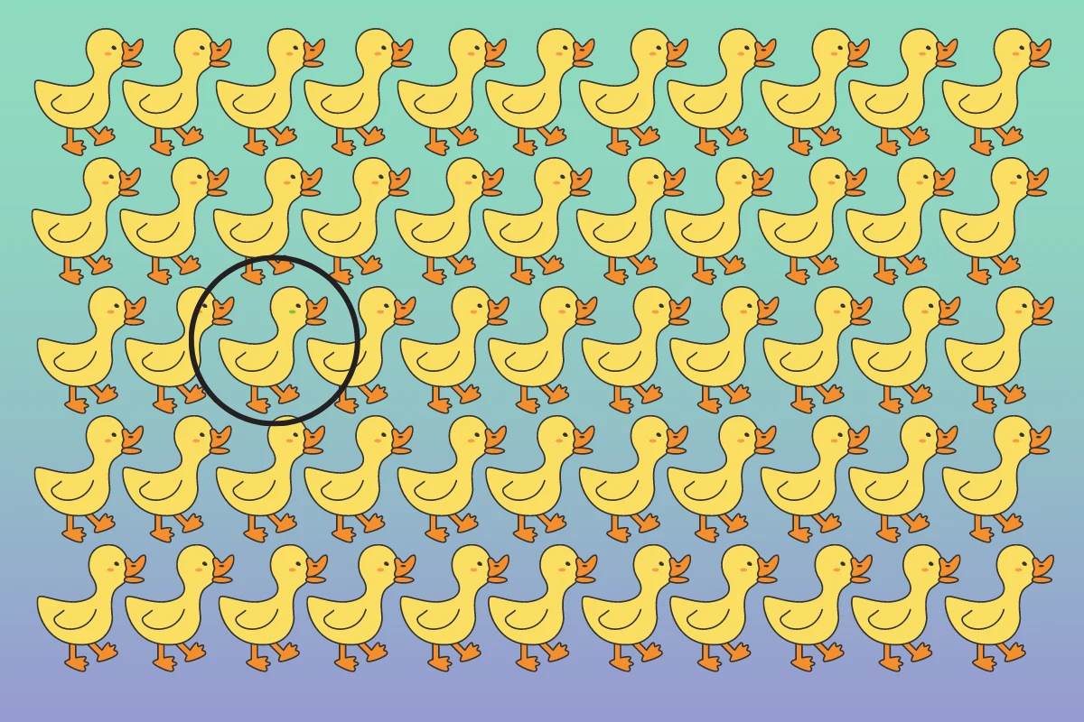 Prawidłowe rozwiązanie