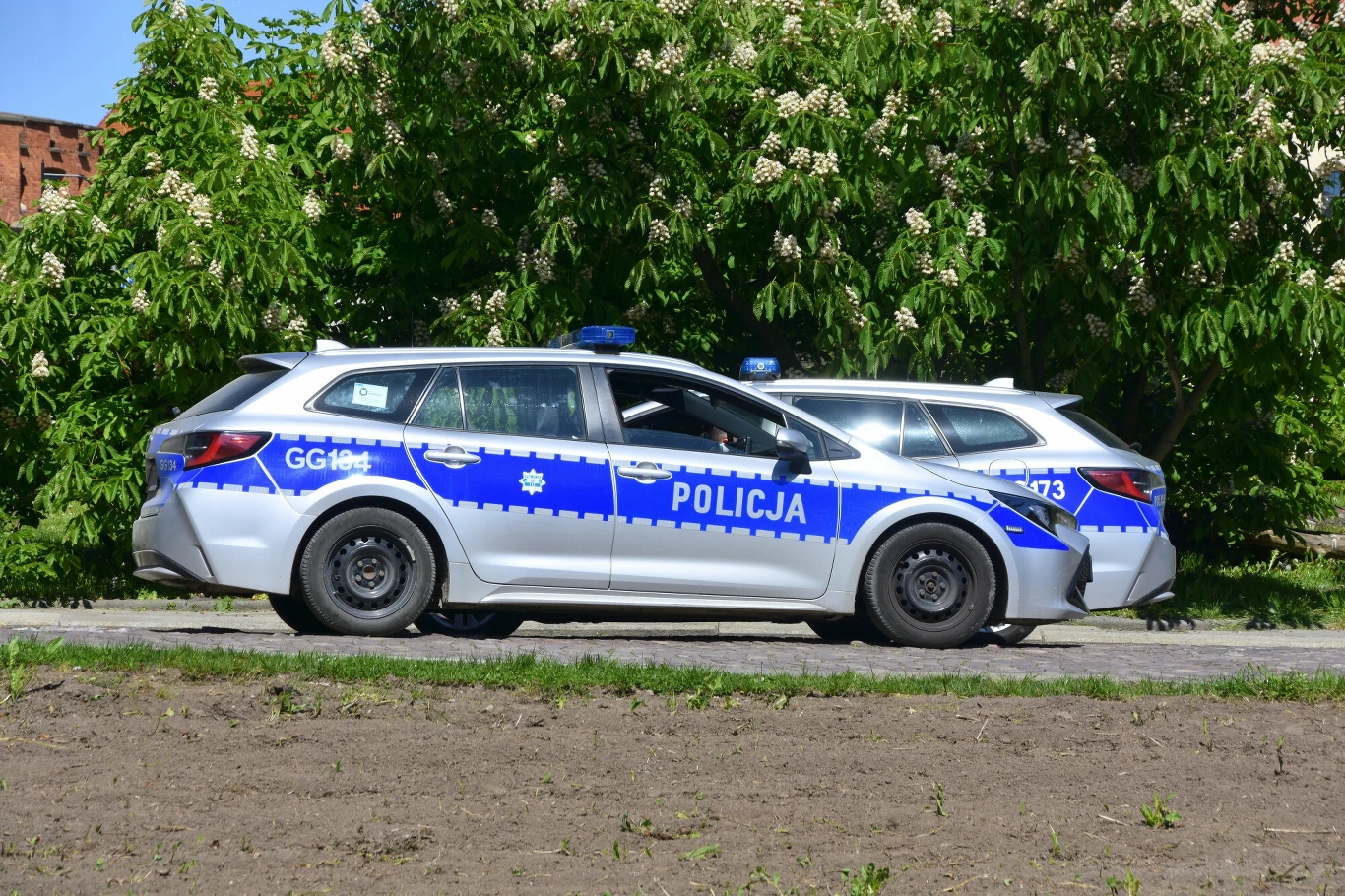 Strzały w szkole w Łomży (zdj. ilustracyjne) Strzały w szkole w Łomży (zdj. ilustracyjne)