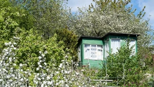 Jak otrzymać dofinansowanie na działkę ROD? Dotacje dla działkowców  