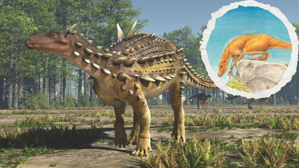 Dornraptor początkowo był brany za scelidozaura (rys. Megan Williams)