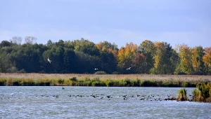 Tu leży największy park krajobrazowy w Polsce. Fani ornitologii będą zachwyceni
