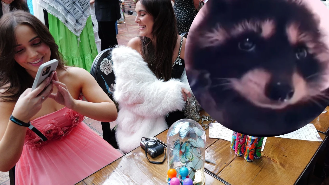 Tańczący szop z piosenki "Pedro" Tańczący szop z piosenki "Pedro"