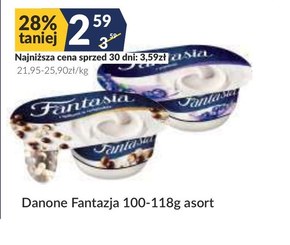 Fantasia Jogurt kremowy z jagodami 118 g niska cena