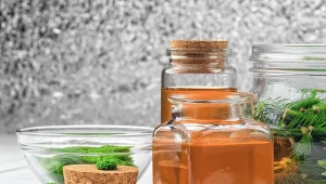 Zbierz młode pędy teraz, a syrop będziesz wykorzystywać przez cały rok 