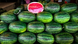 Które owoce i warzywa mogą być porcjowane w sklepach Biedronki?