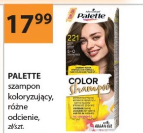Palette Color Shampoo Szampon koloryzujący do włosów 244 (3-65) czekoladowy brąz niska cena