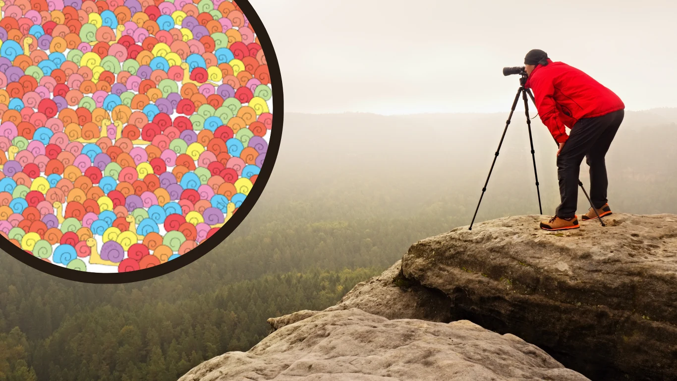 Który ślimak wygląda inaczej? Zagadka dla naprawdę spostrzegawczych Który ślimak wygląda inaczej? Zagadka dla naprawdę spostrzegawczych