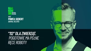 Kary za znęcanie się nad zwierzętami. "Powinny być dużo wyższe"