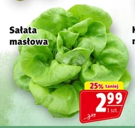 Масляний салат