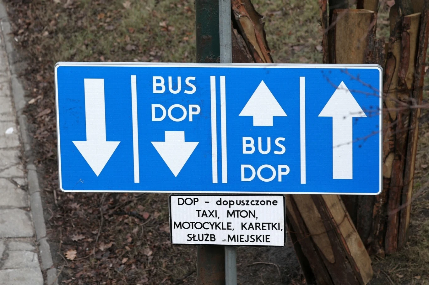 "DOP" oznacza, że buspasem mogą poruszać się wszystkie pojazdy dopuszczone przez zarządcę drogi.