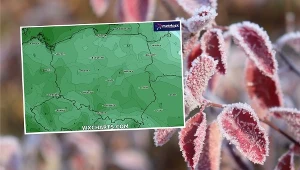 Potężne przymrozki uderzą za kilka godzin. "Kolejna trudna noc"