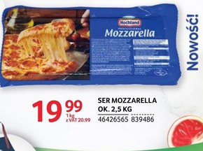 Hochland Professional Mozzarella 2,5 kg niska cena