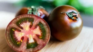 Pomidory kumato wyróżniają się słodkim smakiem
