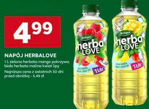 Herbapol HerbaLove Napój owocowo-herbaciany zielona herbata mango i pokrzywa 500 ml niska cena