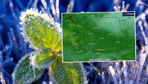 Nadchodzą zimni ogrodnicy. Będzie mnóstwo alertów