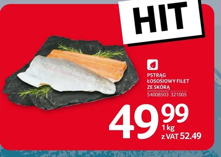 Pstrąg Hit