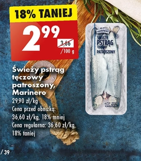 Pstrąg tęczowy Marinero