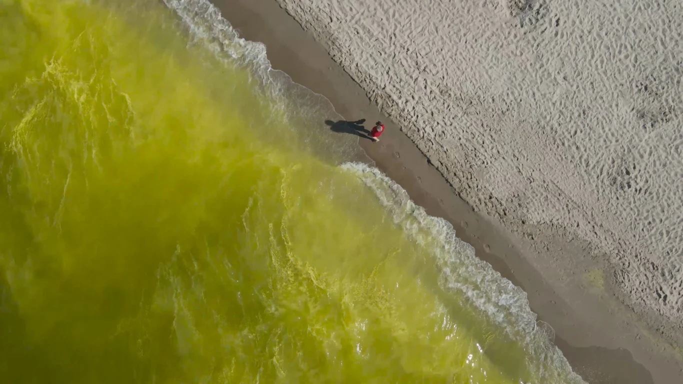 W ostatnich dniach turyści nad Bałtykiem mogli natknąć się na nietypowy widok. Dlaczego woda w morzu nagle zrobiła się jaskrawożółta? W ostatnich dniach turyści nad Bałtykiem mogli natknąć się na nietypowy widok. Dlaczego woda w morzu nagle zrobiła się jaskrawożółta?