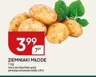 Картопля Chata polska