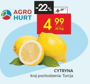 Cytryna Agro Hurt niska cena