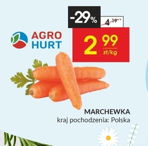 Marchewka Agro Hurt niska cena