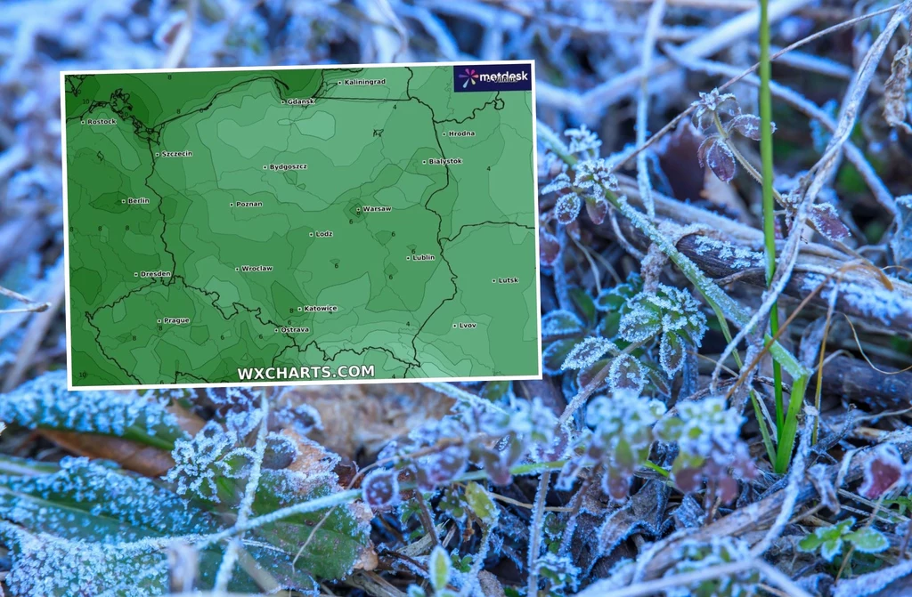 W nocy na północnym wschodzie pojawią się przygruntowe przymrozki sięgające -2 st. C. W weekend również pojawią się "zimni ogrodnicy" W nocy na północnym wschodzie pojawią się przygruntowe przymrozki sięgające -2 st. C. W weekend również pojawią się "zimni ogrodnicy"