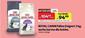 Karma dla kota Royal Canin niska cena