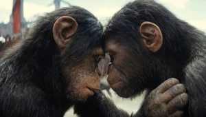 Kadr z filmu "Królestwo Planety Małp"