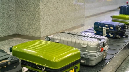 Pluskwy można przywieść z urlopu