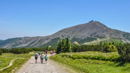 Lato 2024 roku może być ekstremalnie gorące - ostrzega rzecznik IMGW Grzegorz Walijewski. Możliwe będą upały sięgające 36 stopni Celsjusza. Zdjęcie ilustracyjne
