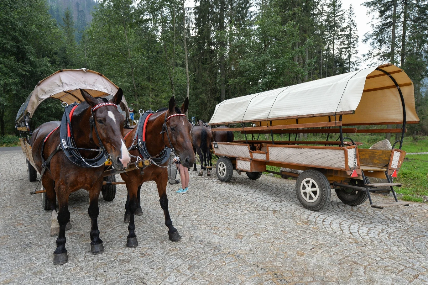 Inżynierowie z Innovation A.G proponują, by konie w drodze na Morskie Oko zastąpił Orzeł. Chodzi o polską pflatformę dla elektrycznych aut dostawczych Inżynierowie z Innovation A.G proponują, by konie w drodze na Morskie Oko zastąpił Orzeł. Chodzi o polską pflatformę dla elektrycznych aut dostawczych