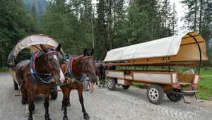 Elektryki zamiast koni. Nowy pomysł na wjazd nad Morskie Oko