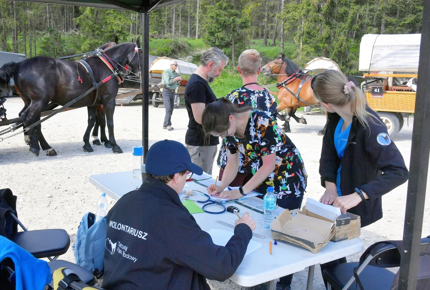Przedstawiciele TPN podkreślają, że konie wożące turystów na Morskie Oko są cyklicznie badane Przedstawiciele TPN podkreślają, że konie wożące turystów na Morskie Oko są cyklicznie badane