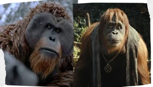Orangutany Maurice i Raka z nowej wersji "Planety małp"