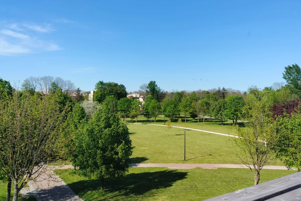 Widok z tarasu w tężni